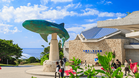 美ら海水族館